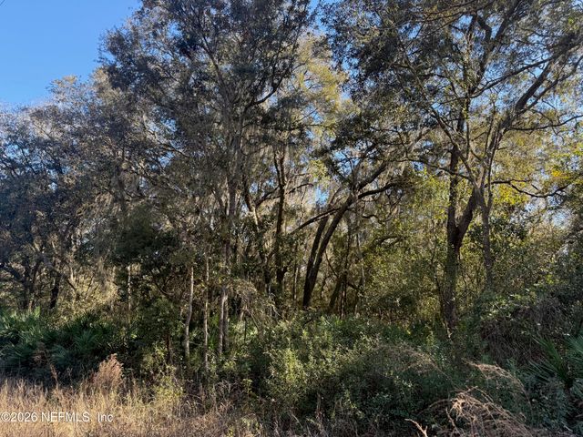 113 DOBY Drive, Florahome, FL 32140