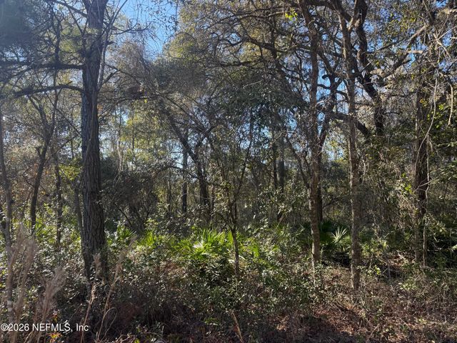 113 DOBY Drive, Florahome, FL 32140