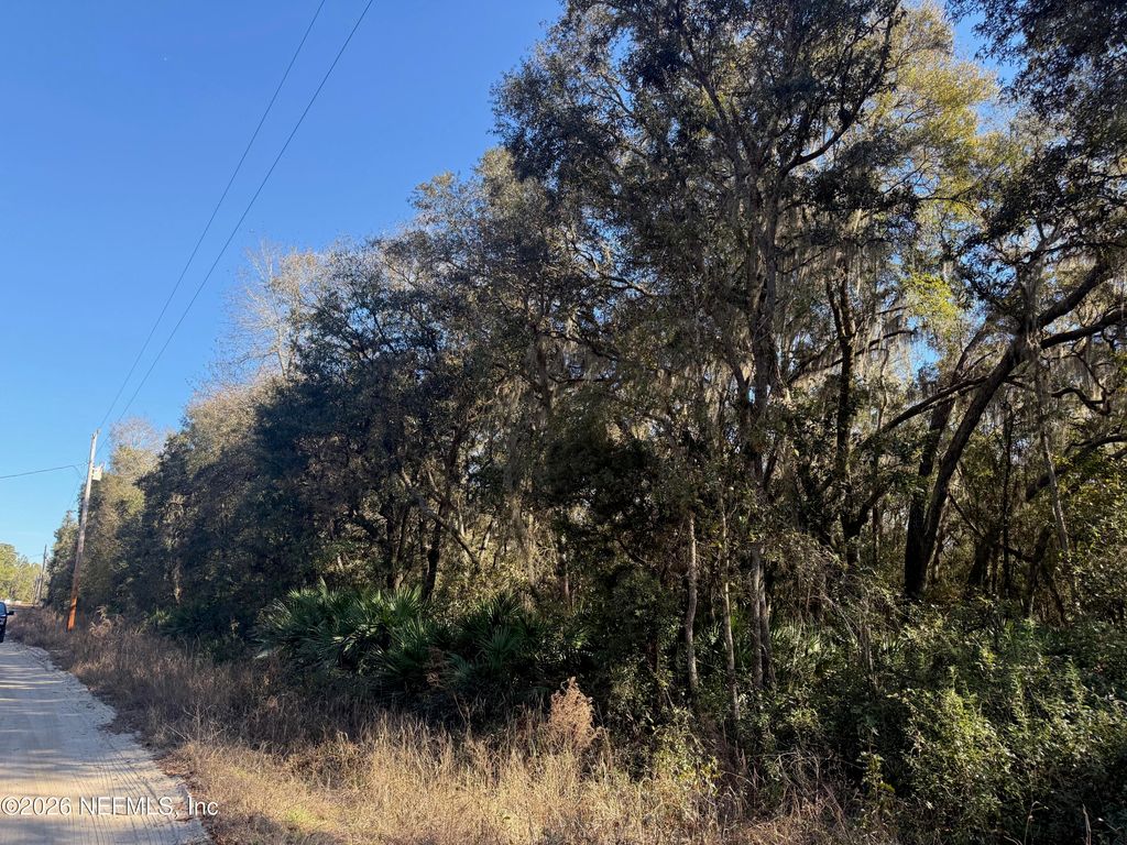 113 DOBY Drive, Florahome, FL 32140