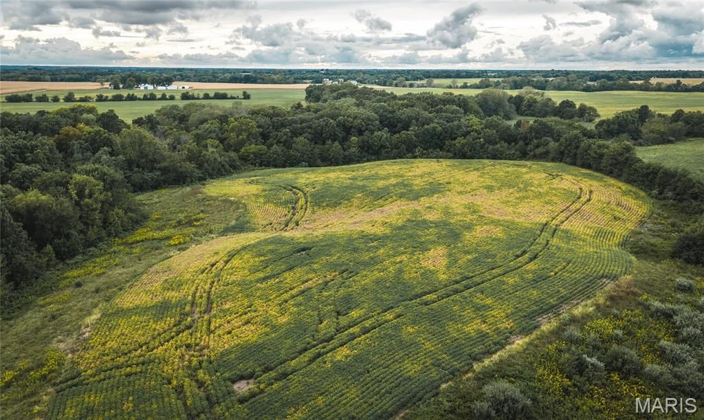 Image 39 of property listing at 18435 Old Highway 67, Jerseyville, IL 62052