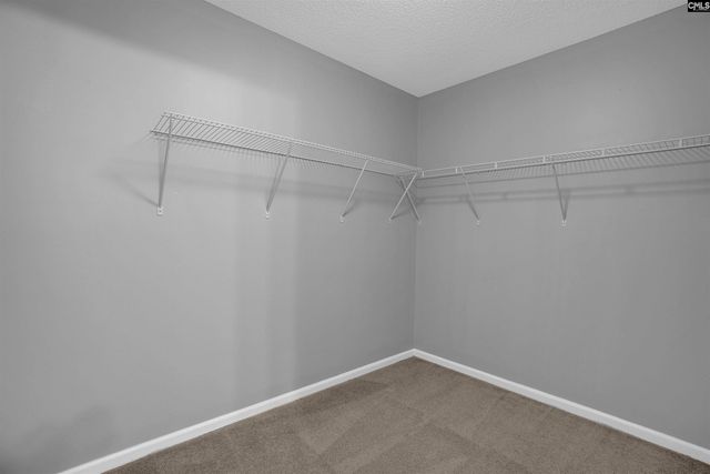 3 Beckton Court, Columbia, SC 29229