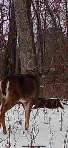 26766 County Highway DD HIGHWAY, Richland Center, WI 53581