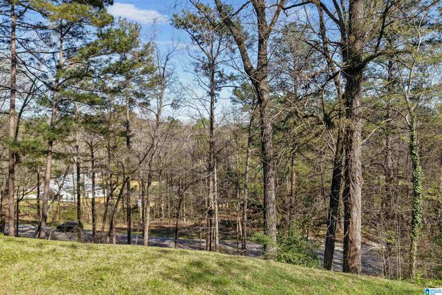 1289 HAVENVIEW DRIVE, Pelham, AL 35124