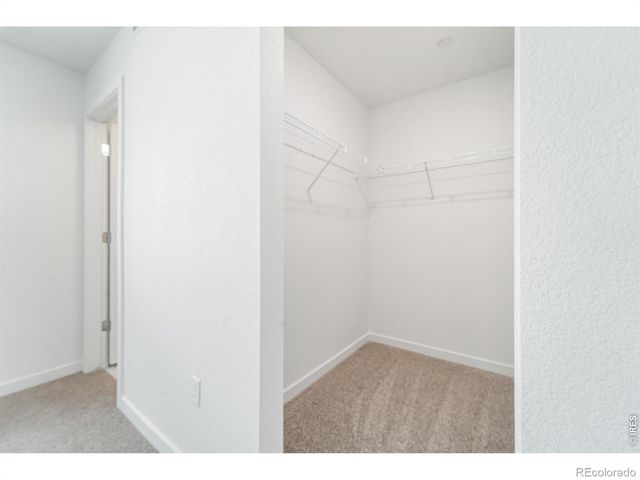 3913 Net Street, Evans, CO 80620