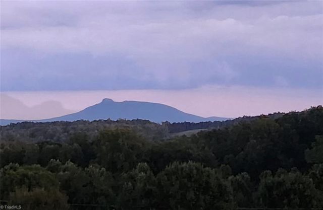 724 Tom Cook Road, Pilot Mountain, NC 27041