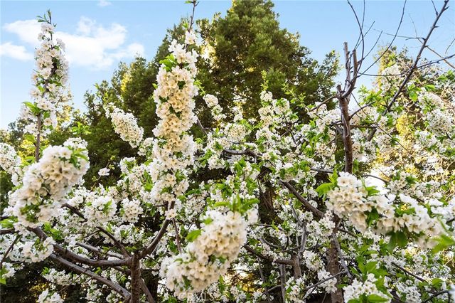 14 Sparrow Hawk, Chico, CA 95928