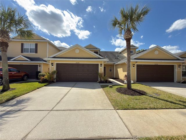 20228 INDIAN ROSEWOOD DRIVE, Tampa, FL 33647