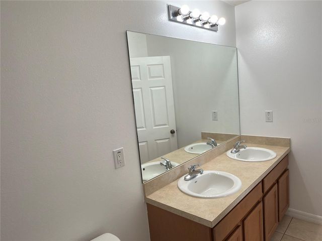 20228 INDIAN ROSEWOOD DRIVE, Tampa, FL 33647