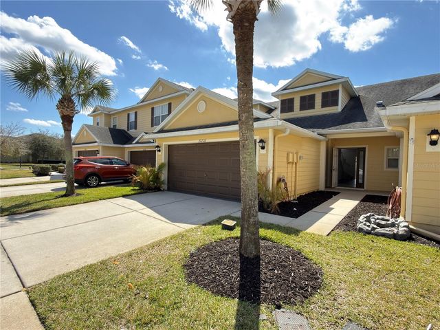 20228 INDIAN ROSEWOOD DRIVE, Tampa, FL 33647