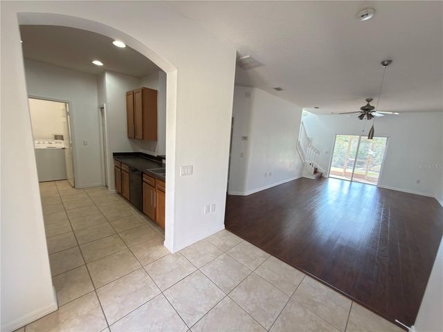 20228 INDIAN ROSEWOOD DRIVE, Tampa, FL 33647