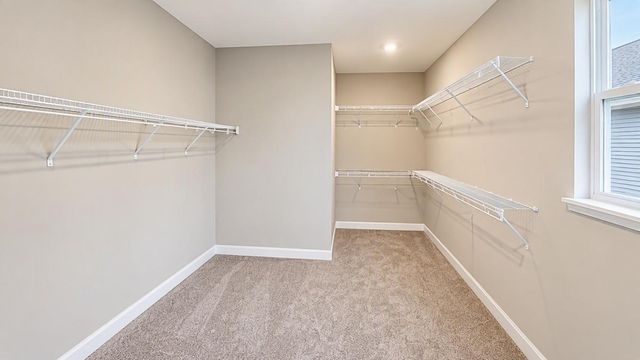2147 Bluff Heights Drive, Shakopee, MN 55379