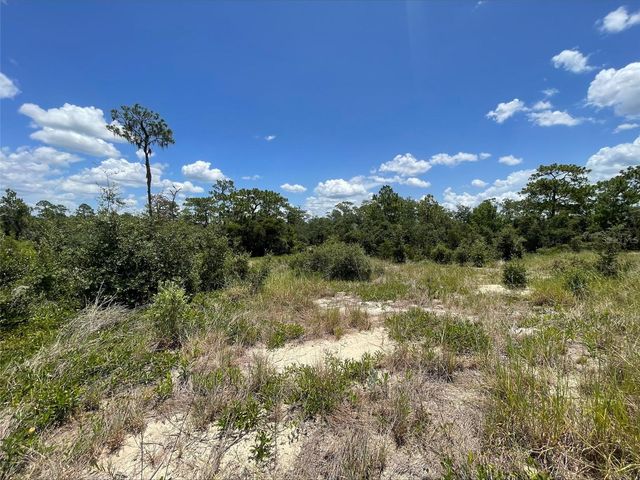 1340 HOMOSASSA COURT, Kissimmee, FL 34759
