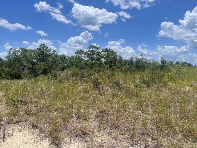 1340 HOMOSASSA COURT, Kissimmee, FL 34759