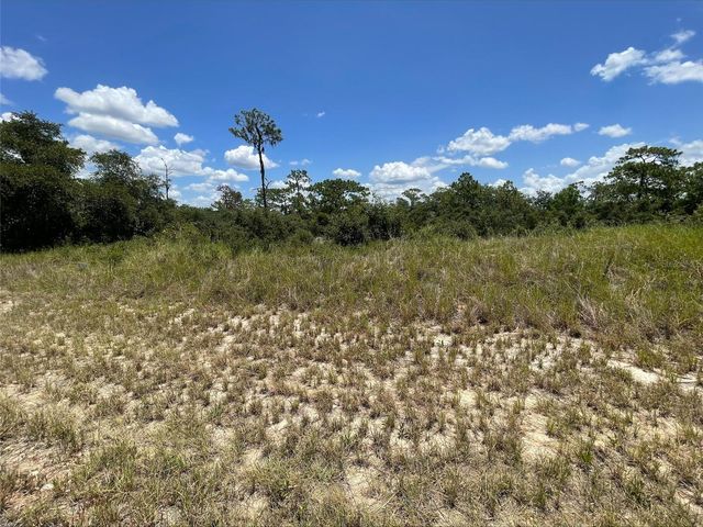 1340 HOMOSASSA COURT, Kissimmee, FL 34759