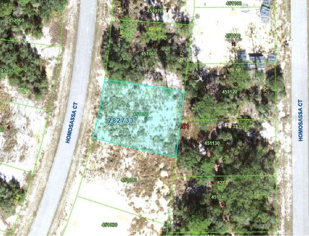 1340 HOMOSASSA COURT, Kissimmee, FL 34759