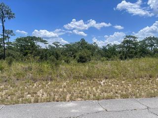 1340 HOMOSASSA COURT, Kissimmee, FL 34759