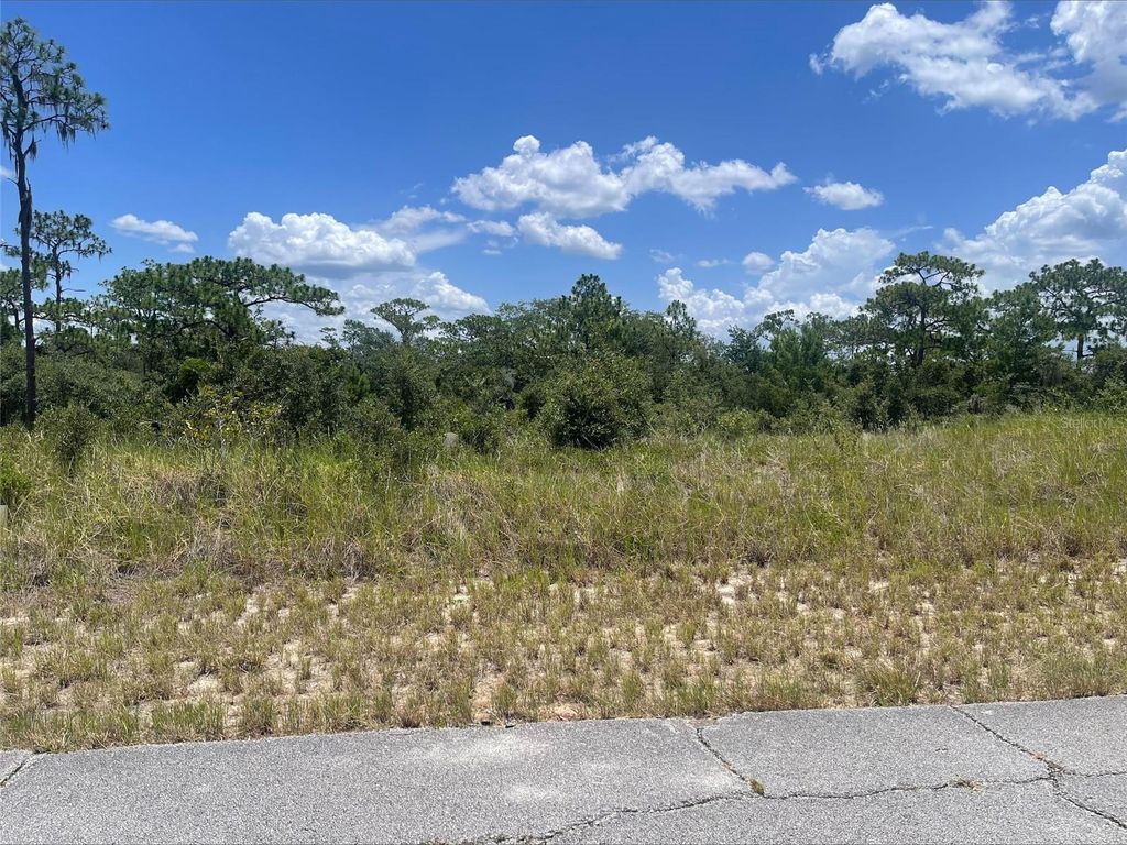 1340 HOMOSASSA COURT, Kissimmee, FL 34759