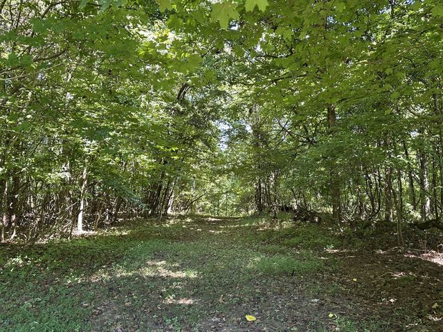 2360 Glennridge Rd, Columbia, TN 38401