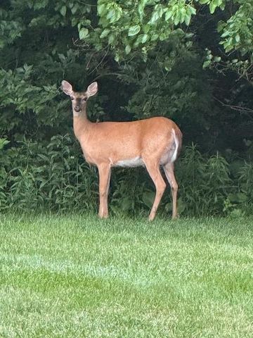 5593 Haydens Reserve Way, Hilliard, OH 43026