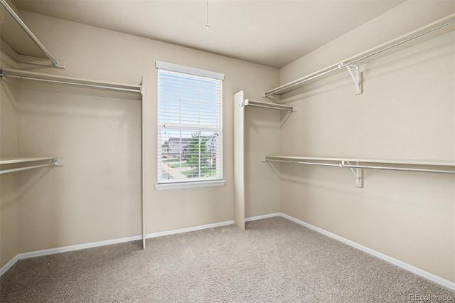 3603 Amber Sun Circle, Castle Rock, CO 80108