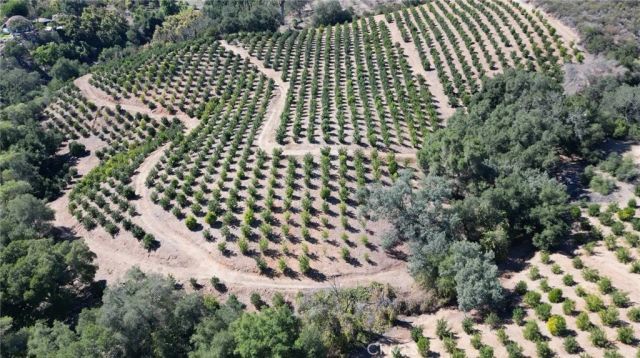 44775 De Luz Rd, Temecula, CA 92590