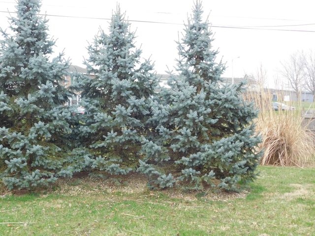 8301 W Colony Drive, Yorktown, IN 47396