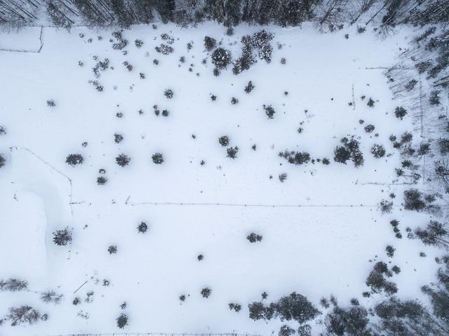 S M-37, Blair Twp, MI 49685