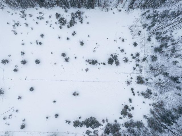 S M-37, Blair Twp, MI 49685