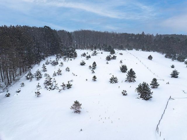 S M-37, Blair Twp, MI 49685