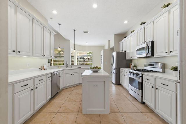 11902 WANDSWORTH DRIVE, Tampa, FL 33626