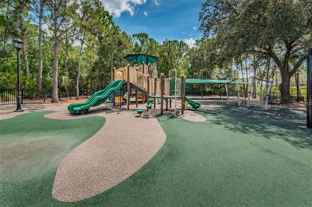 11902 WANDSWORTH DRIVE, Tampa, FL 33626