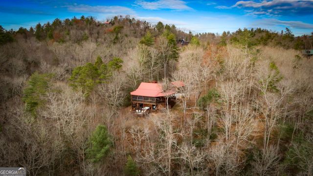 297 Tall Timber Mountain Road, Blue Ridge, GA 30513
