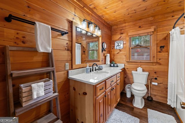 297 Tall Timber Mountain Road, Blue Ridge, GA 30513