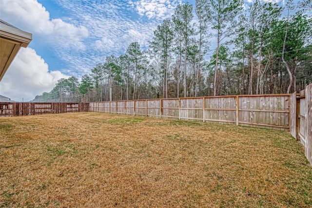 23722 Canolo Grove Lane, New Caney, TX 77357