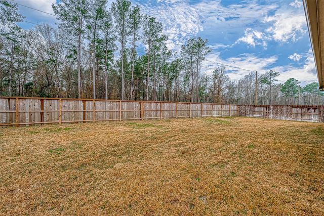 23722 Canolo Grove Lane, New Caney, TX 77357