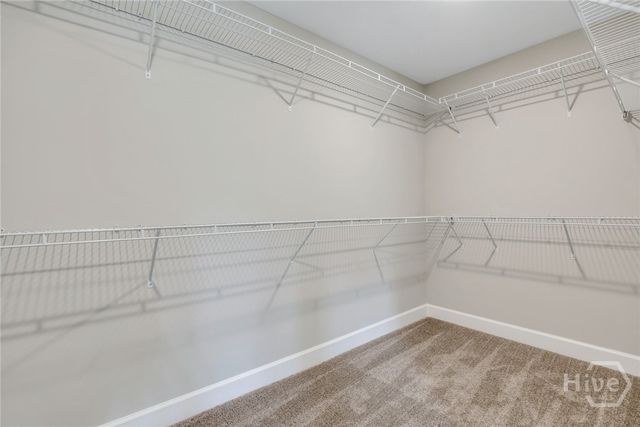 170 Hanover Place, Richmond Hill, GA 31324