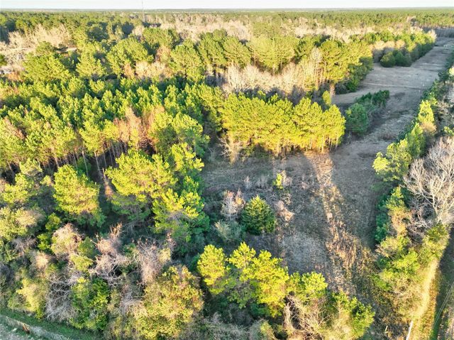 TRACT 41-C & 41-D Fm 2610, Livingston, TX 77351