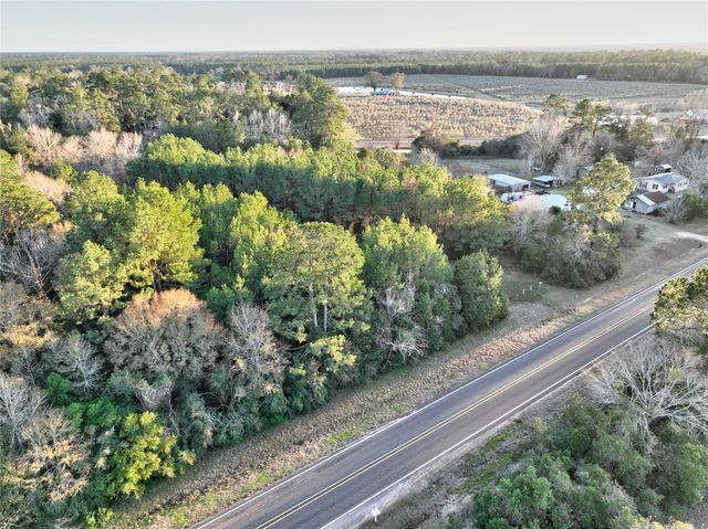 TRACT 41-C & 41-D Fm 2610, Livingston, TX 77351