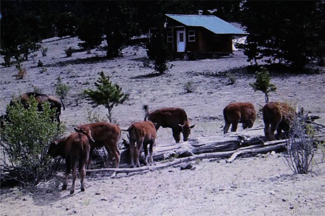 79 Quail Court, Hartsel, CO 80449