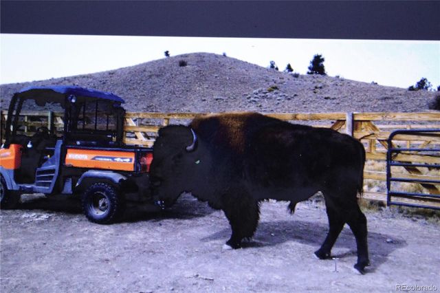 79 Quail Court, Hartsel, CO 80449