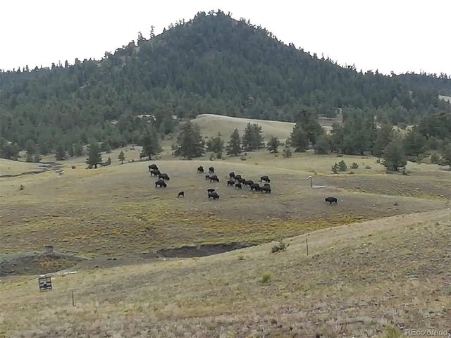 79 Quail Court, Hartsel, CO 80449