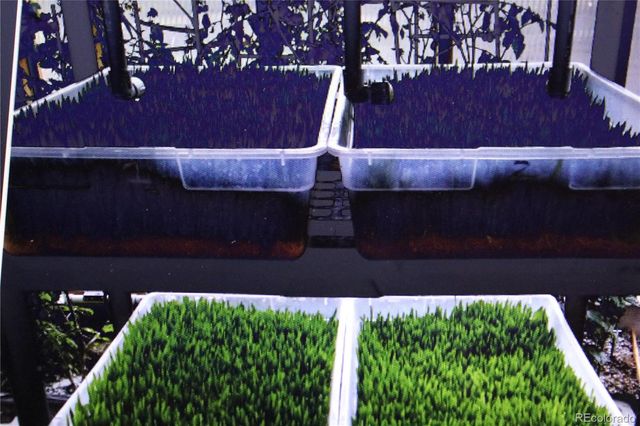 79 Quail Court, Hartsel, CO 80449