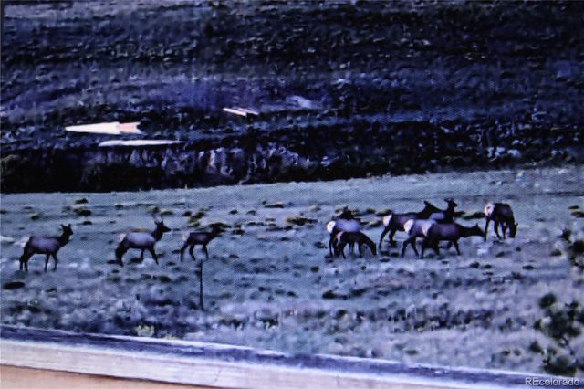 79 Quail Court, Hartsel, CO 80449