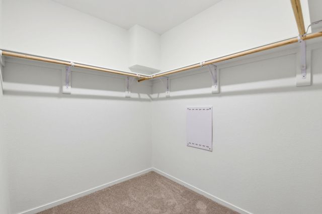 6419 Begonia Trellis Drive, Katy, TX 77493