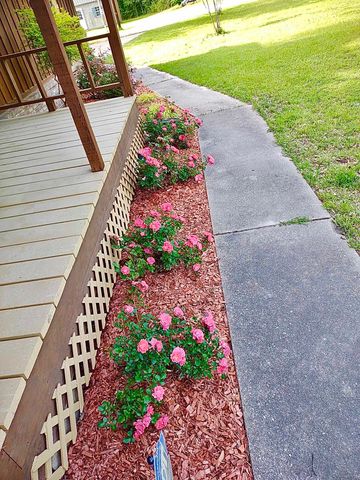 442 CR 1081, Carthage, TX 75633