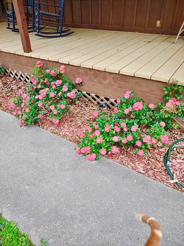 442 CR 1081, Carthage, TX 75633