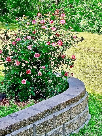 442 CR 1081, Carthage, TX 75633