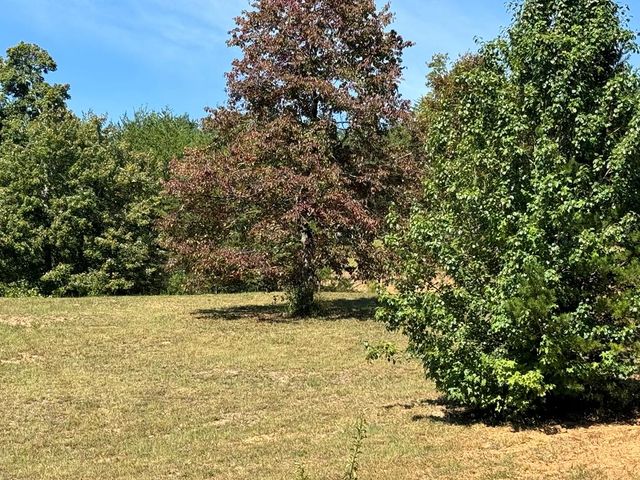 130 Golden Eagle Circle, Turtletown, TN 37391