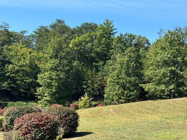 130 Golden Eagle Circle, Turtletown, TN 37391