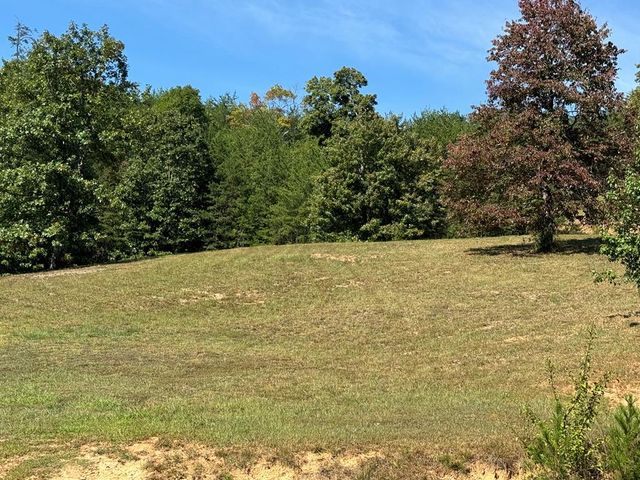 130 Golden Eagle Circle, Turtletown, TN 37391